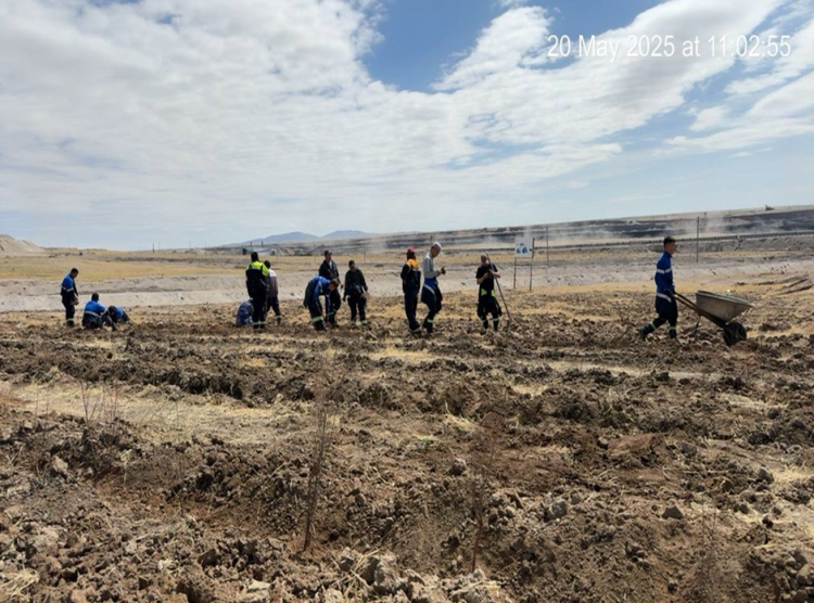 “Шивээ Овоо” ХК-ийн “Тэрбум мод” Үндэсний хөдөлгөөний хүрээнд  Уурхайн бүсэд хийгдсэн ажлын тайлан