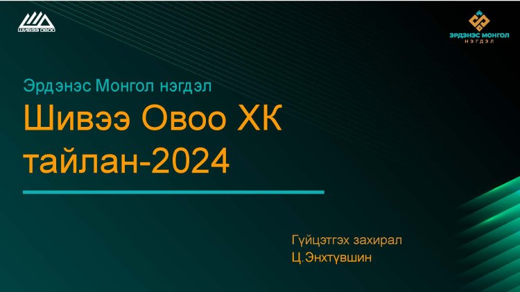 2024 оны Үйл ажиллагааны тайлан