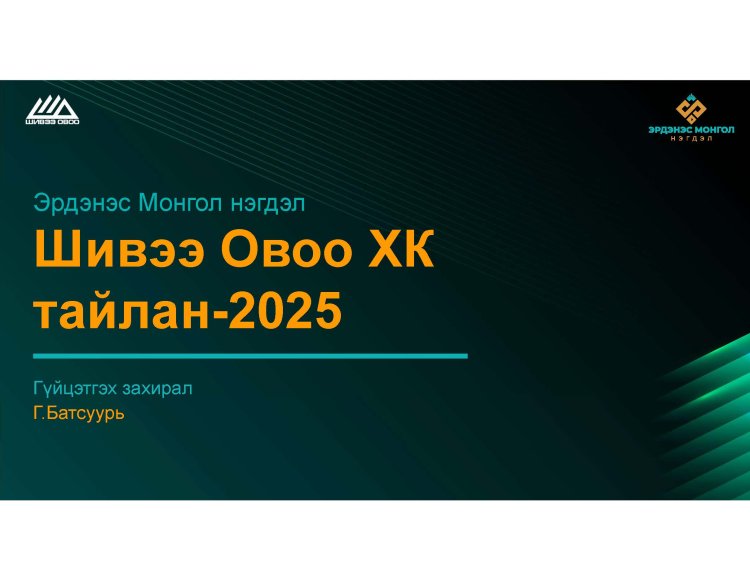 2025 оны Үйл ажиллагааны тайлан
